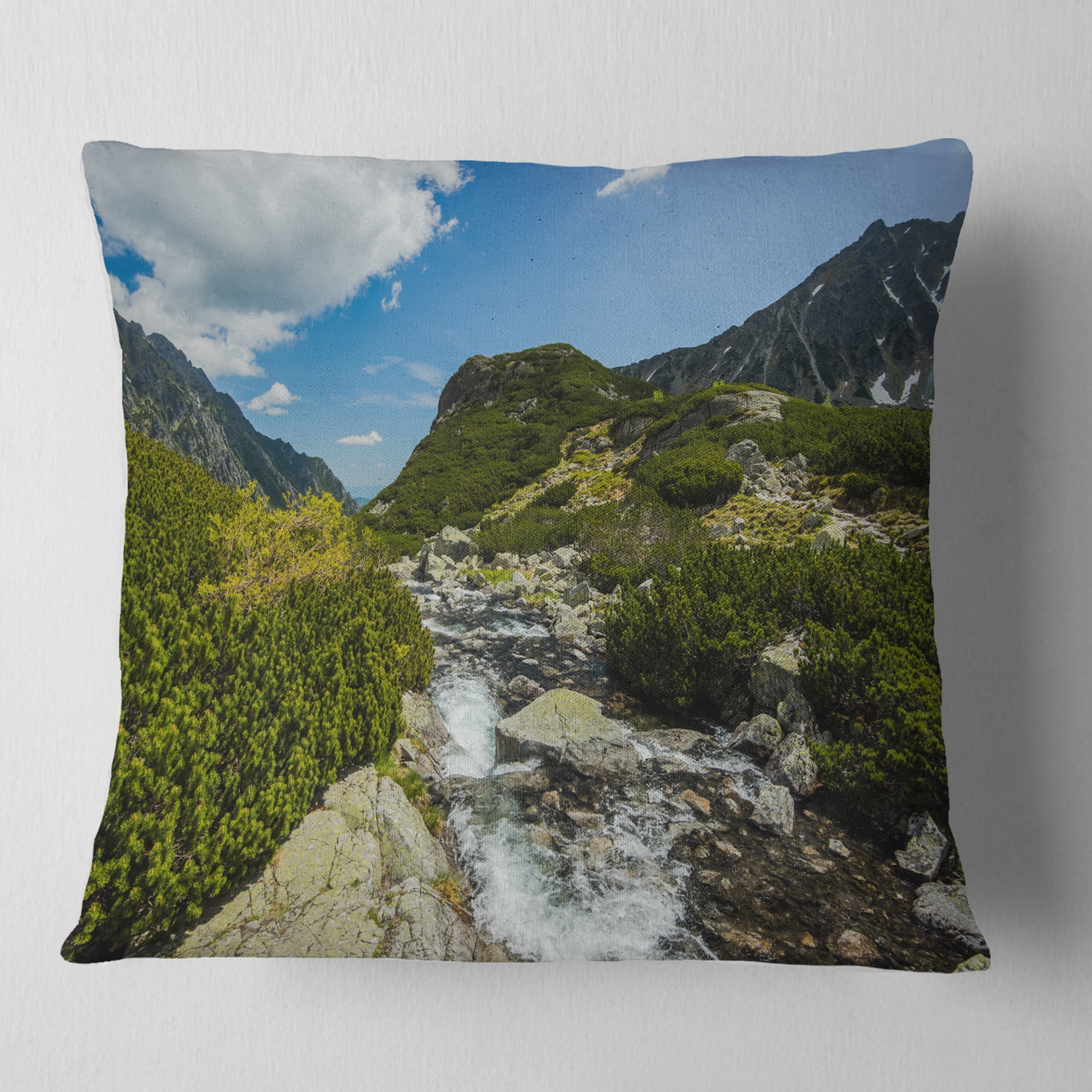 Designart Alpine Stream in High Mountains - Landscape Printed Throw Pillow - 16x16
