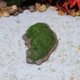 thumbnail image 4 of unbranded 2Ud Estatua De Isla Para De Acuarios Y Macetas Con, 4 of 8