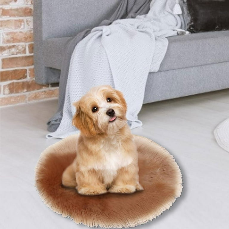Outdoor heated cheap dog mat