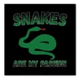 thumbnail image 1 of DistinctInk Custom Bumper Sticker - 4" x 4" Decorative Decal - Black Background - Snakes Are My Passion, 1 of 2