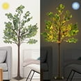 thumbnail image 5 of Lighted Eucalyptus Tree 6 ft, Eucalyptus Artificial Tree with Warm White for Thanksgiving Easter Christmas Festival Home Decor, 5 of 8