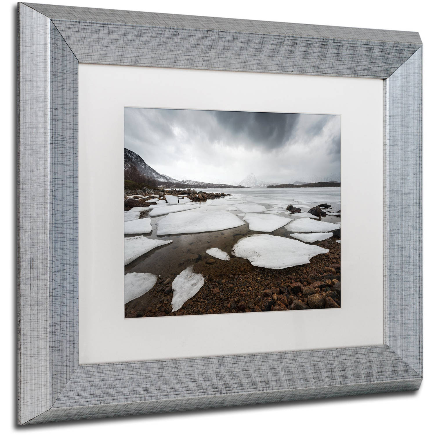 Trademark Fine Art "Wildest Dreams" Canvas Art by Philippe Sainte-Laudy, White Matte, Silver Frame