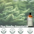 thumbnail image 3 of PHATOIL 3.38 fl.Oz Pine Needles Essential Oils for Humidifier Aromatherapy Bath, Pine Scented Oil for Diffuser, 3 of 8