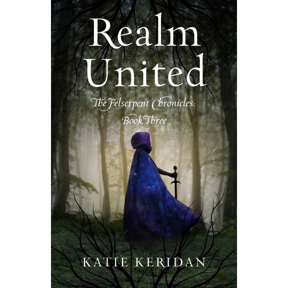 Pre-Owned Realm United (Paperback) 1684632722 9781684632725