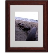 Trademark Fine Art "Boundless" by Monica Fleet, Wood Frame