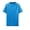 Sky Blue shirt for men #0, variant on SeCaotees Short Sleeve Athletic Workout Tees for Men Crew Neck Relaxed Fit Quick‑Dry Moisture Wicking Fabric Sports Training Pullover Tops Blue,L