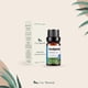 thumbnail image 2 of Aceite Esencial de Eucalipto UVa Natural 10 ML Aromaterapia para Difusores y Humidificadores con Caj, 2 of 6