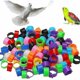 thumbnail image 1 of Starlight100 Piezas Anillos para patas de pájaros Anillos para patas de pájaros Anillos para patas de pájaros para loro Identificación de aves Paloma Pollo Pato Aves de corral (Multicolor) esquí esquí Gafas de esquí, 1 of 5