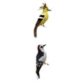 thumbnail image 1 of Decoración de Estatuilla de jardín de Abubilla de Carpintero de Plumas artificiales 2 piezas CUTICAT Estatuilla de la decoración, 1 of 8