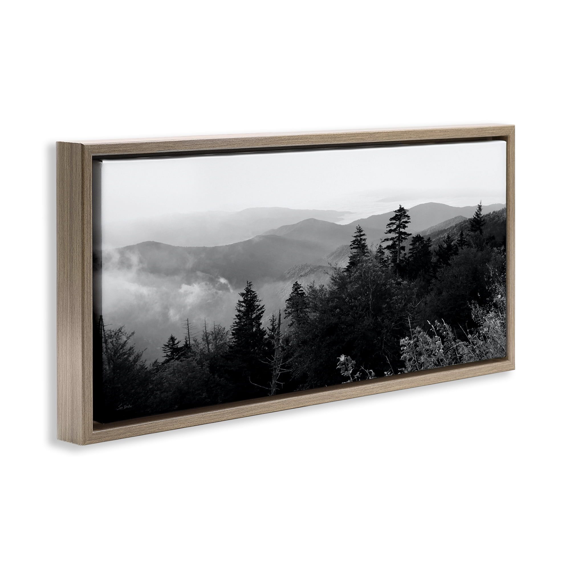 Stupell Industries Mountainous Trees Horizon Landscape & Nature Photography Brown Floater Framed Canvas Art Print Wall Art, 25 x 11