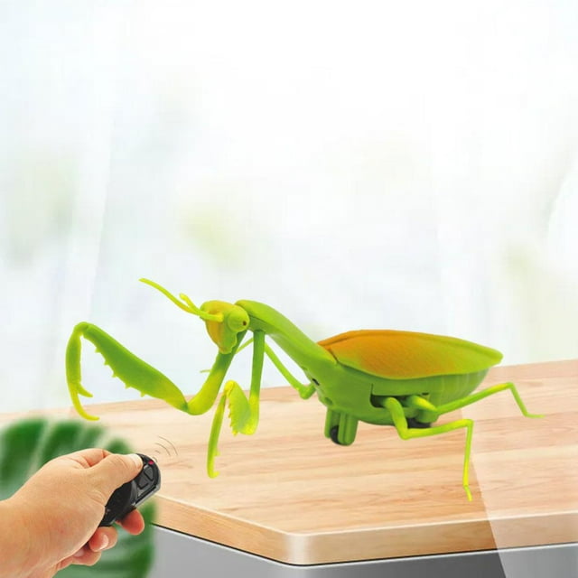 Eléctrico RC Juguetes Broma Juguete Scary Trick Toys Juguetes de Eléctrico para Cumpleaños Hugo Juguetes de truco RC