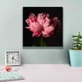 thumbnail image 4 of Epic Graffiti 'Perfect Peony' by Leah McLean Giclee Canvas Wall Art, 12"x12", 4 of 6