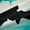 Black Blue 01, variant on Homewish Cartoon Ocean Shark Black Out Curtains, Underwater World Curtains Pack of 2 (42x63 Each), Teens Kids Girls Boys Bedroom Curtains, Blackout Curtains Home Decor
