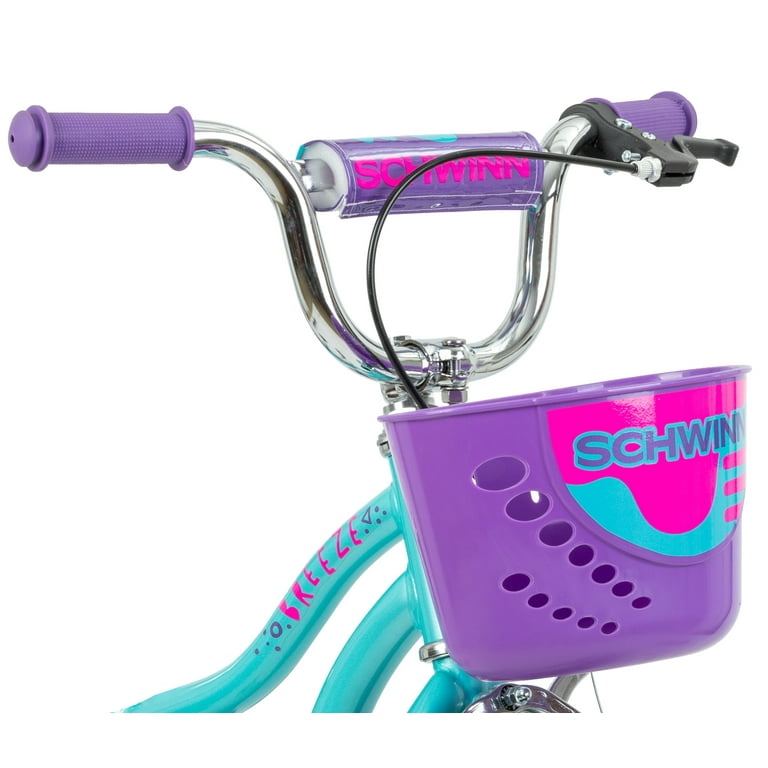 Schwinn 12