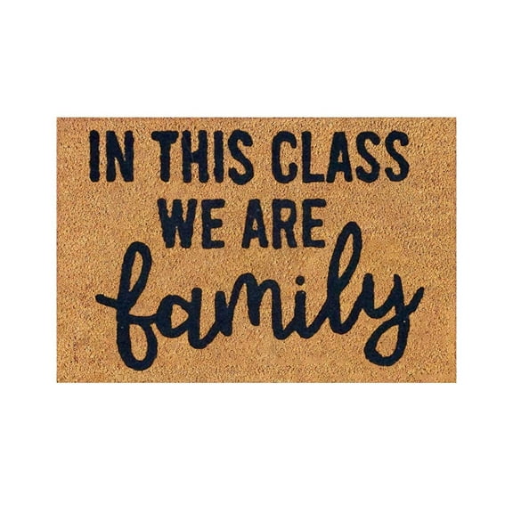 Denhf In This Class We Are Family Door Mat, Funny Welcome Mat, Non-Slip Personalized Floor Mats for Indoor Outdoor Entrance, Home, and Kitchen, Decorative Rug for Front Door, 23.6" x 15.7", Brown