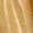 Gold, variant on Miutii Kids Shiny Jazz Disco Outfits Cheer Outfit Hip Hop Dance Dress Sets for Competitions Cha-cha Red 6-10