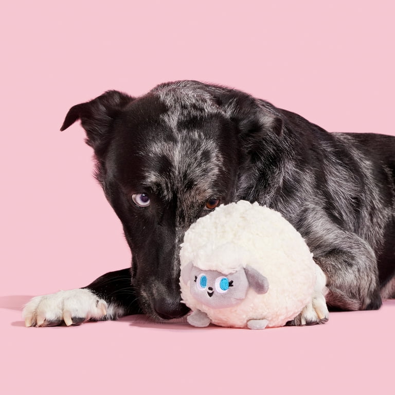 BARK Ewenice Lamb, Plush Dog Toys, with Crazy Crinkle and Hidden