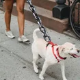 thumbnail image 3 of [ Correas De Cadena For Perros Correas De Cadena For Perros, 3 of 8