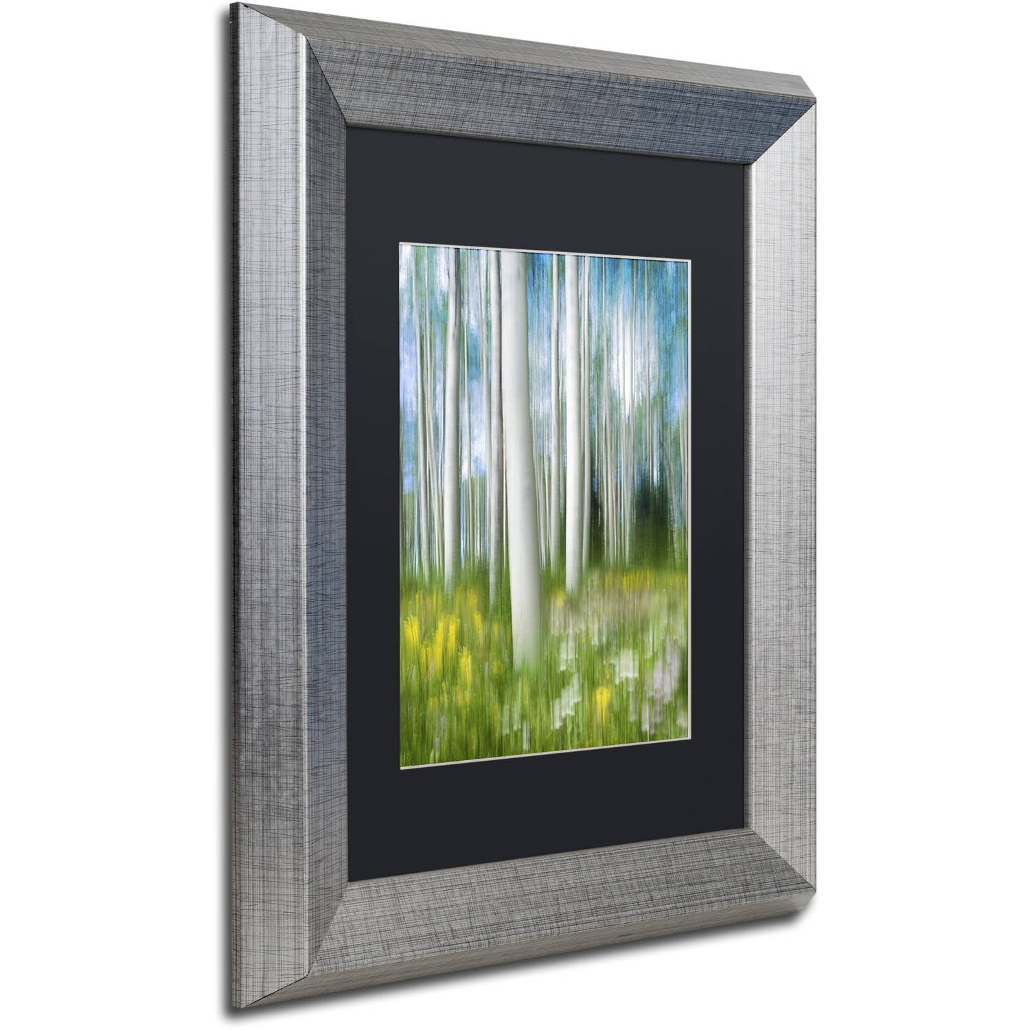 Trademark Fine Art "Aspen Impression" Canvas Art by Michael Blanchette Photography Black Matte, Silver Frame