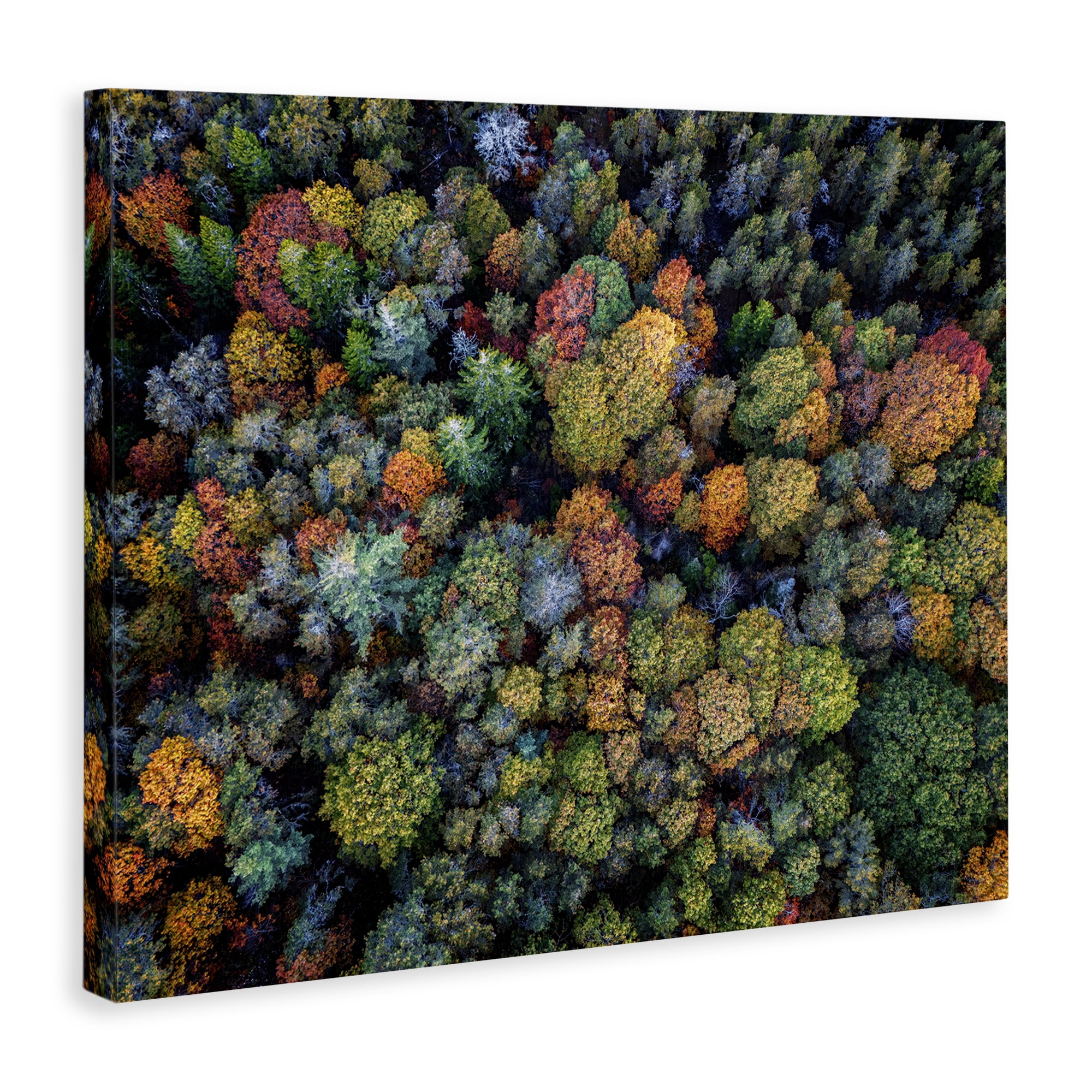 Stupell Industries Aerial View Autumnal Foliage Landscape & Nature Photography Wrapped Canvas Art Print Wall Art, 20 x 16