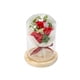 thumbnail image 1 of Bearachild Caja de regalo rosa con cubierta de vidrio Regalo de luz LED para el aniversario del día de San Valentín Kits de decoración para fiestas rojo Bearachild HA027363-01, 1 of 1