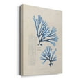 thumbnail image 2 of Blue Marine Algae V Premium Gallery Wrapped Canvas - Ready to Hang, 2 of 9