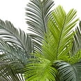 thumbnail image 4 of Nearly Natural 6817 Cycas Indoor/Outdoor Uv Resistant Tree 3' Green, 4 of 10