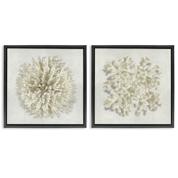 Stupell Industries Distinct Natural Coral Animals Painting Black Floater Framed Canvas Art Print Wall Art, 18 x 18, Set of 2