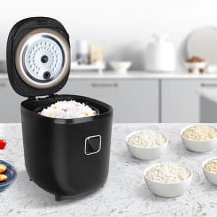 honkieland consumer council tested 11 low-carb rice cookers.. only 2 models  found to reduce carbs effectively
