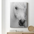 thumbnail image 6 of Island Pony I Premium Gallery Wrapped Canvas - Ready to Hang, 6 of 9