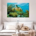 thumbnail image 2 of Elephant Stock Turtle In Bonaire Reef Wall Art - Horizontal Canvas Wall Art - Dining Room Wall Decor - Animal Canvas - Yellow And Green Decor - 48" x 32", 2 of 8