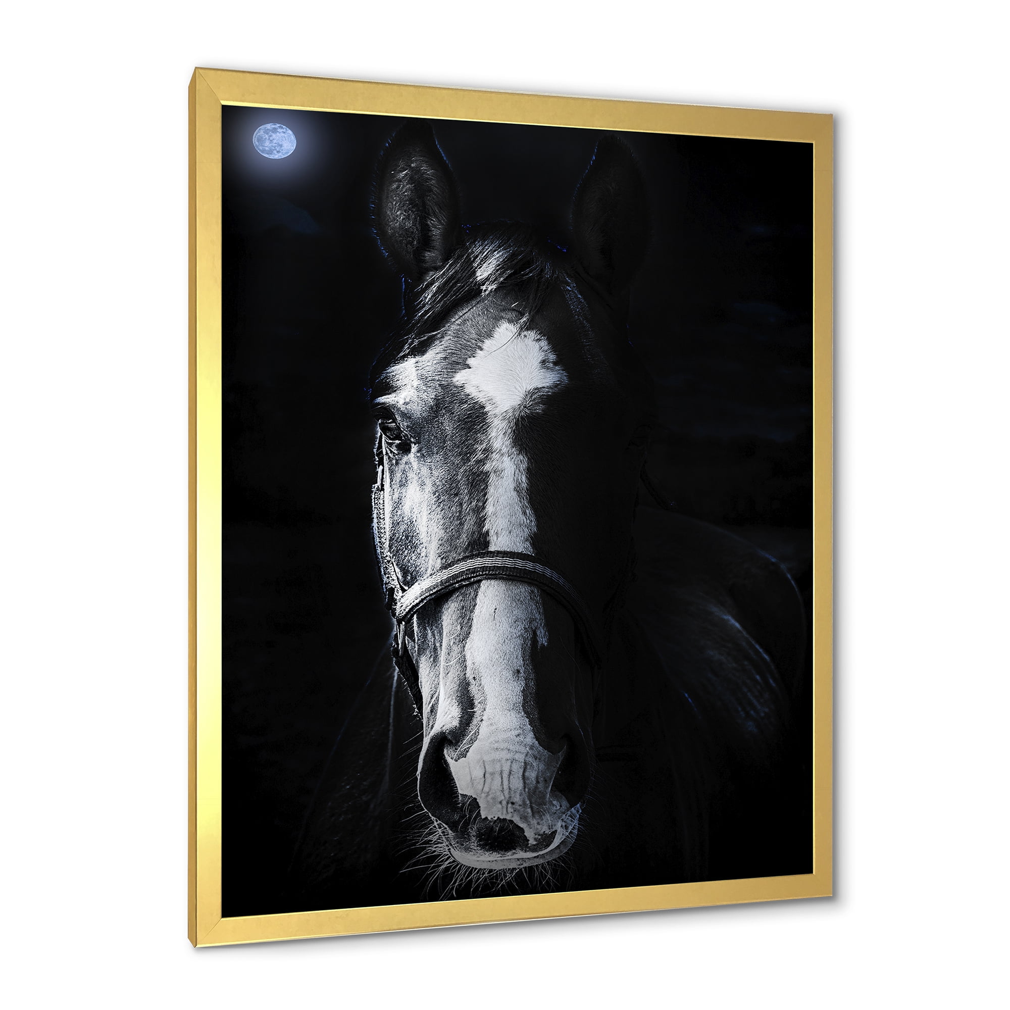 Portrait of Horse Staring Sinister 16 in x 32 in Framed Photography Canvas Art Print, by Designart
