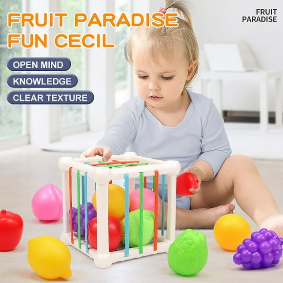 Baby Shape Sorter Sensory Bin, Montessori Learning Toy with Elastic Rope, Fine Motor Skills Activity, Color Recognition Game, Educational Gift for Toddlers 1+ Year Old