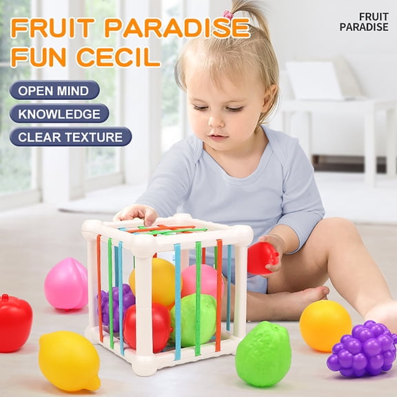 Montessori Shape Sorter Sensory Bin Toy with Elastic Rope, Color Fruit Sorting Game, Early Learning Fine Motor Skill Toy for Toddlers Age