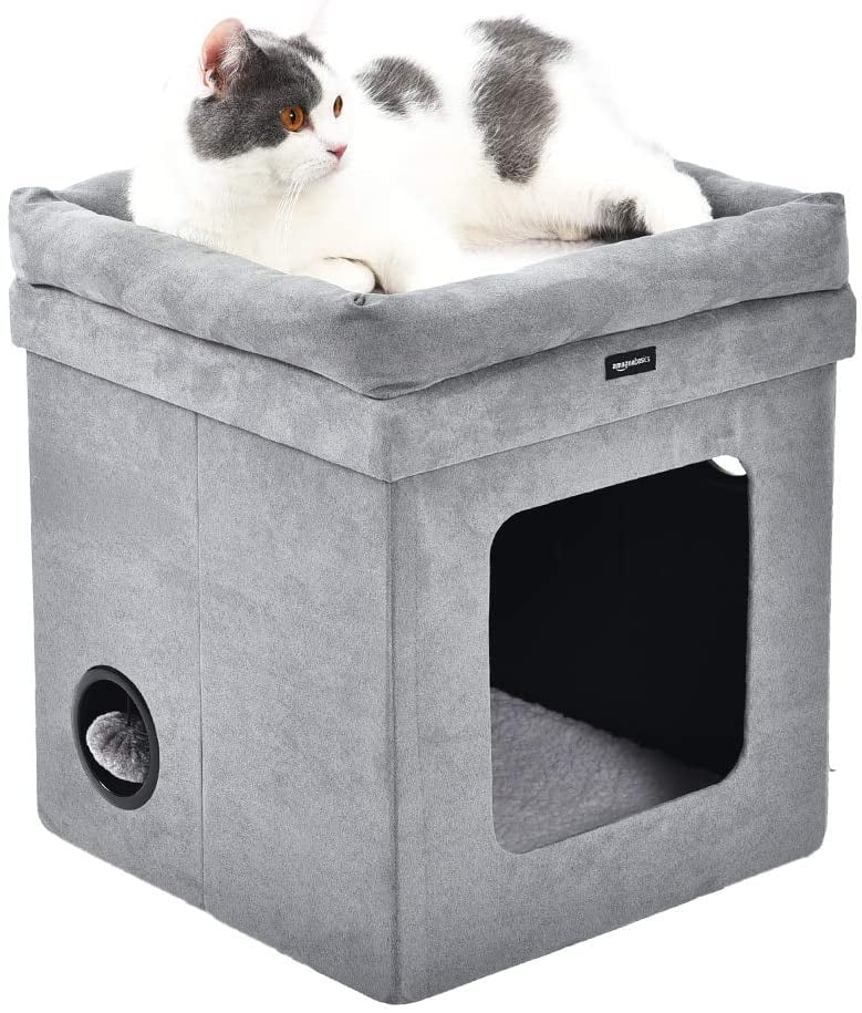collapsible cat bed