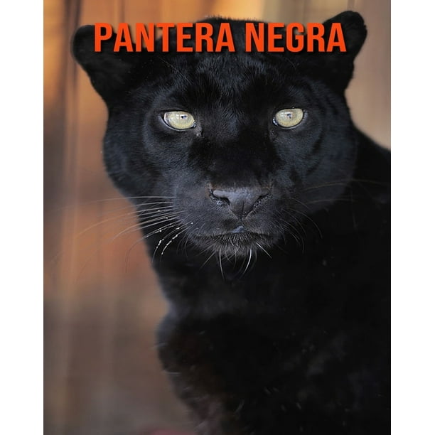 Pantera negra : Imágenes asombrosas y datos curiosos (Paperback) - Pantera negra : Imágenes asombrosas y datos curiosos (Paperback) -