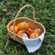 thumbnail image 3 of Handheld Basket Food Storage Basket Multi-function Fruit Basket Woven Basket Fruit Picking Basket, 3 of 4