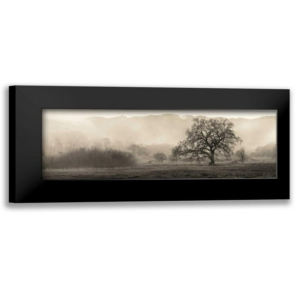 Blaustein, Alan 14x7 Black Modern Framed Museum Art Print Titled - Meadow Oak Tree