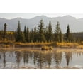 thumbnail image 2 of Paulson, Don 32x23 Gold Ornate Wood Framed with Double Matting Museum Art Print Titled - Canada, Alberta, Jasper NP Cottonwood Slough, 2 of 4