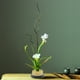 thumbnail image 3 of Samfox Ikebana Kenzan, Arreglo de Sostenedor de Flores Redondo Ikebana Kenzan Flower Herramienta de Disposición Fija para La Decoración de La Oficina En El Hogar(#1), 3 of 5