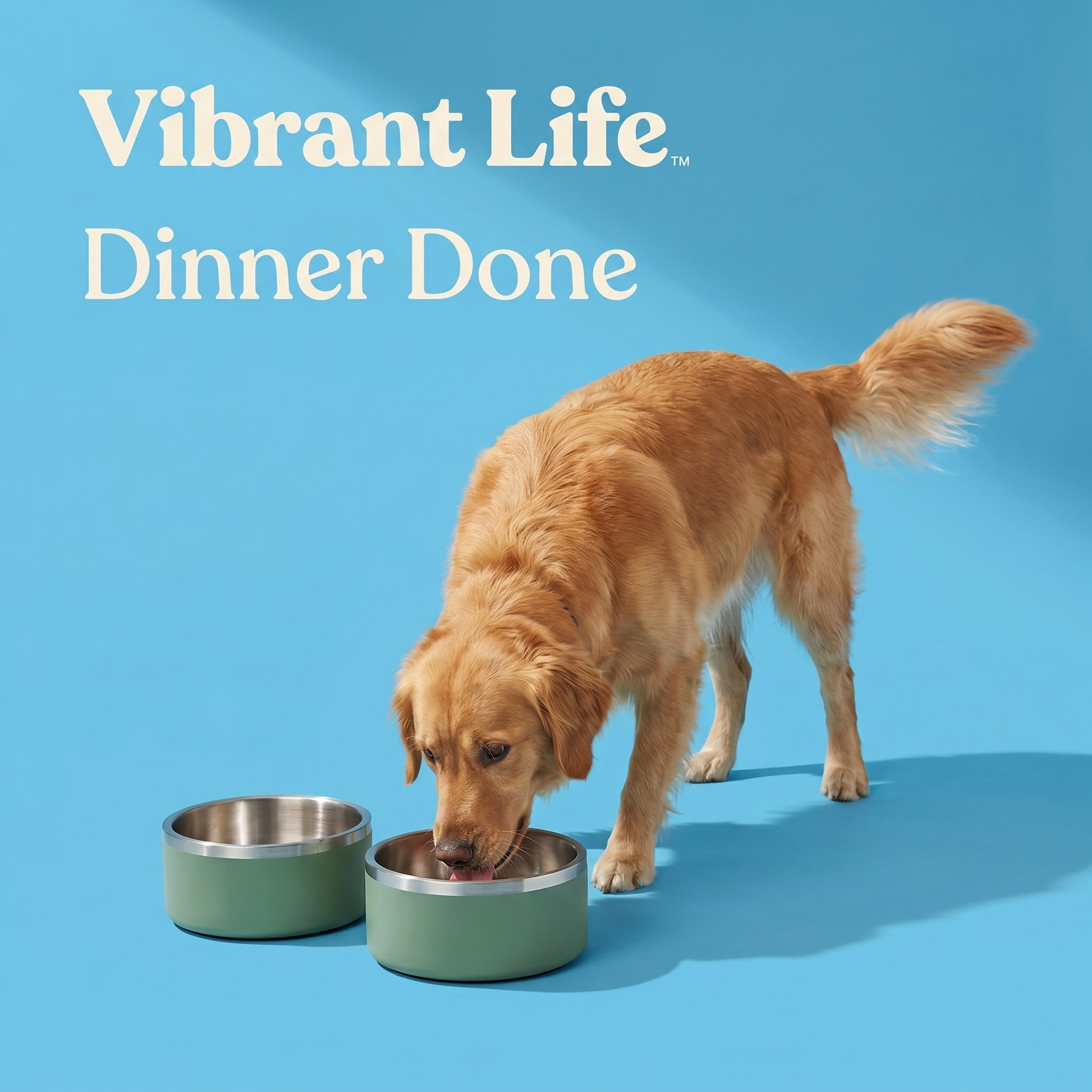 Vibrant Life Medium 4-Cup Stainless Steel Double Wall Pet Bowl, Sage