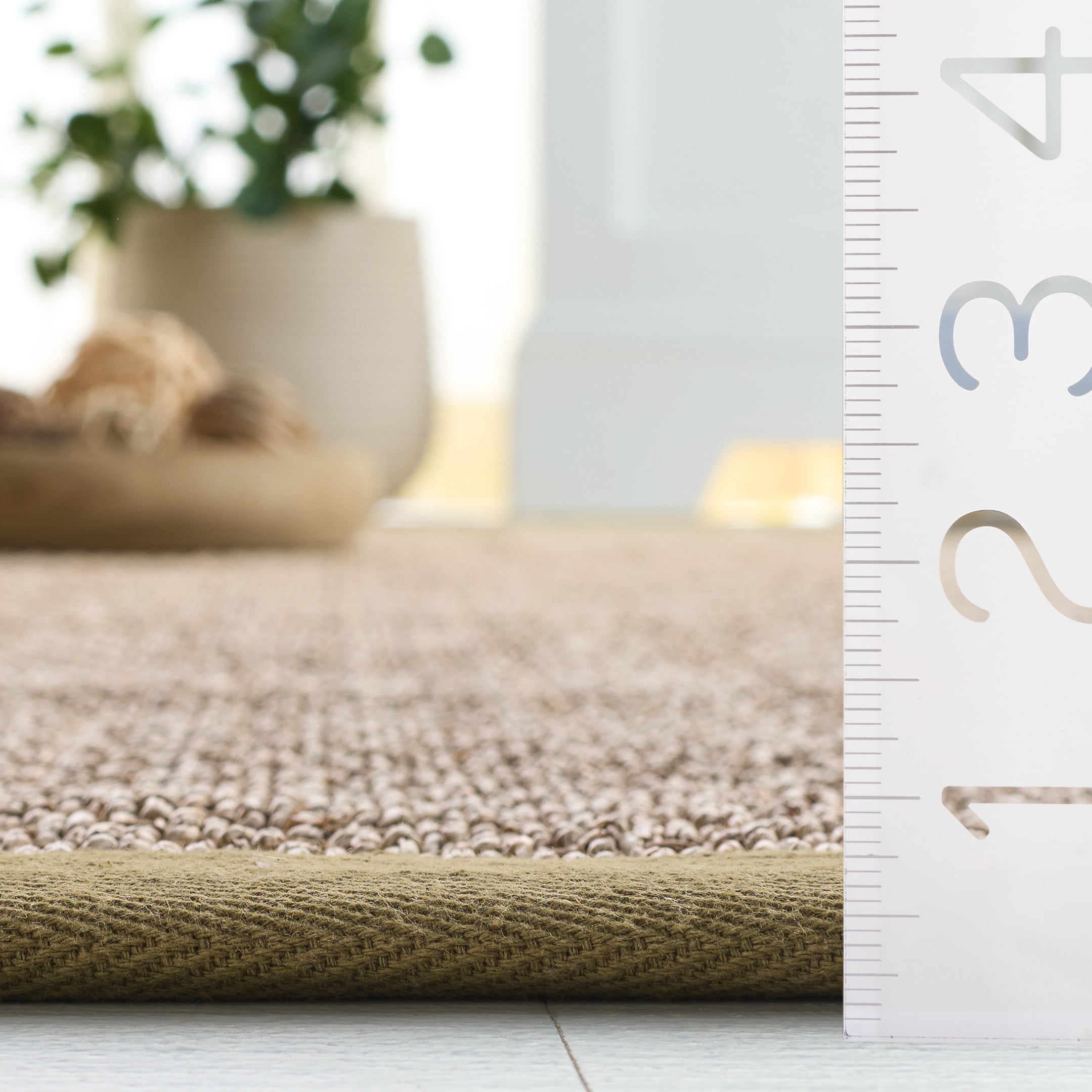 Safavieh Natural Fiber Maksim Border Area Rug, Natural/Olive, 3' x 5'