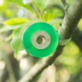 thumbnail image 1 of 10 Piezas Cinta de Injerto Cinta Estirable de Injerto de Vivero Cinta de Película Cinta Adhesiva Cinta Estirable Cinta de Barrera de Humedad para Reparación de Plantas de Injerto 2 cm, Verde, 1 of 5