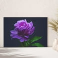thumbnail image 1 of PixonSign Canvas Print Wall Art Bright Violet on Black Background Botanical Plants Photography Modern Art Contemporary Portrait Colorful Multicolor Ultra for Living Room, Bedroom, Office - 12x18, 1 of 5