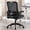 Black Low back, variant on Nexthro Ergonomic Office Chair, Desk Chair with Adjustable Lumbar Support, Breathable Mesh Comfy Computer Chairs with Flip-up Armrests Executive Task Chair for Adults Home Office(Black)