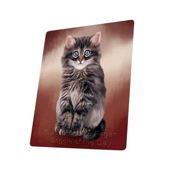 Persian Cat Blanket BLNKT48108
