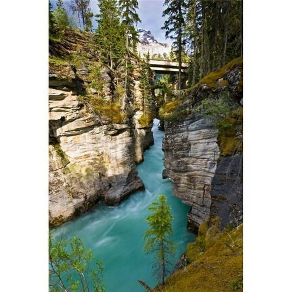 Athabasca Falls Jasper National Park Alberta Canada Poster Print by Larry Ditto - 18 x 26 in.