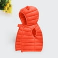 thumbnail image 4 of Diufon Toddler Hooded Warm Vest Infant Boys Girls Fall Winter Sleeveless Windproof Padded Zip-up Jackets, 4 of 5