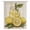 Lemon Yellow Grass Green, variant on Summer Lemon Sheer Curtains 84 Inches Long, Yellow Fruits Green Leaf Vintage Light Filering Curtains, Breathable Simi Curtain Privacy Drapes for Living Room Bedroom Lightweight Window Treatment