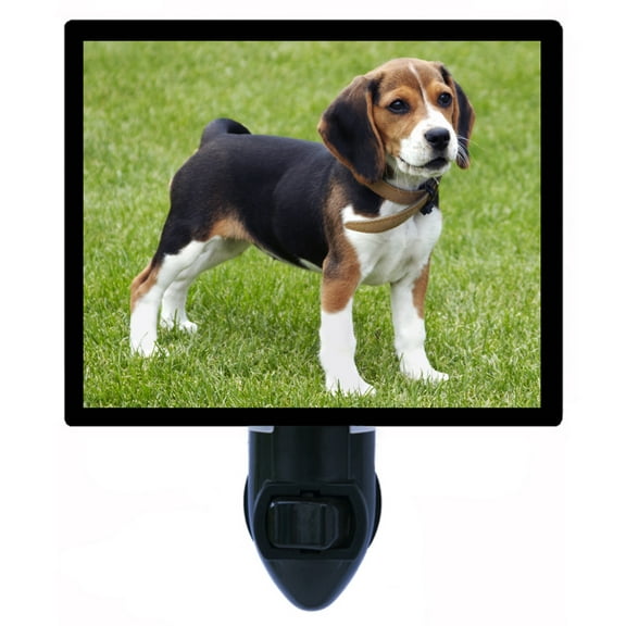 Night Light - Beagle Puppy. | Dog Theme, Includes Free Switchable Insert, 4W Bulb, E12 Base
